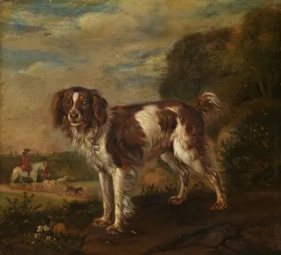 A Spaniel