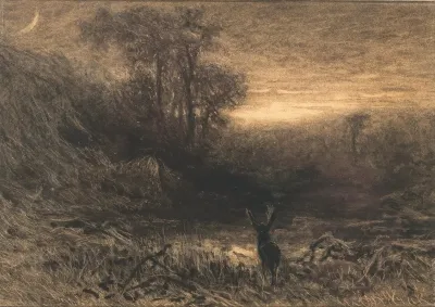A Stag At The Edge Of A Wood At Moonlight