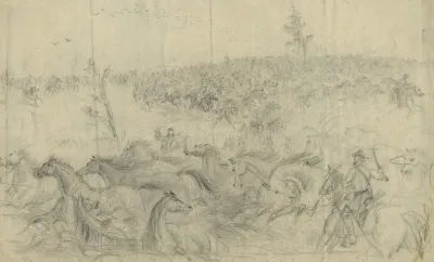 A Stampede Of Army Horses