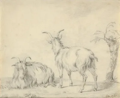 A Standing And A Lying Goat Near A Small Tree