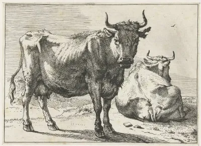 A Standing Cow And A Lying Cow
