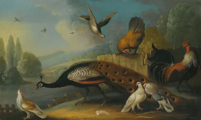 A Still Life With A Peacock Pigeons And Chickens In A River Landscape