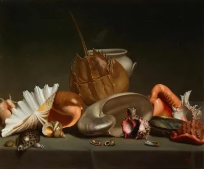 A Still Life With Sea Shells And Molluscs