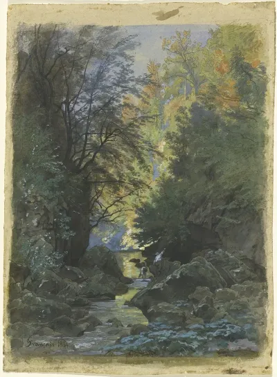 A Stream Through A Dense Forest