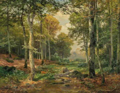 A Sun Lit Forest With A Roe Deer