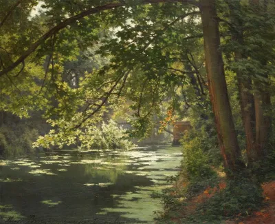 A Sunlit Woodland River