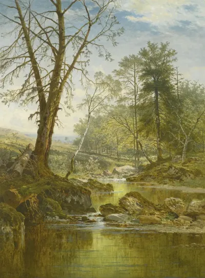 A Sunny Stream Beardon Dartmoor