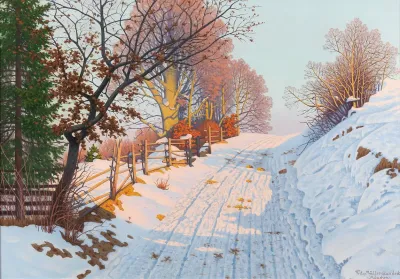 A Sunny Winter Path