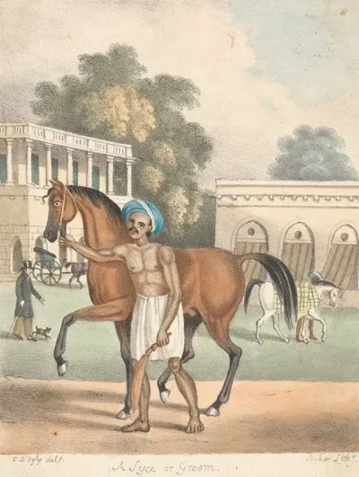 A Syce Or Groom