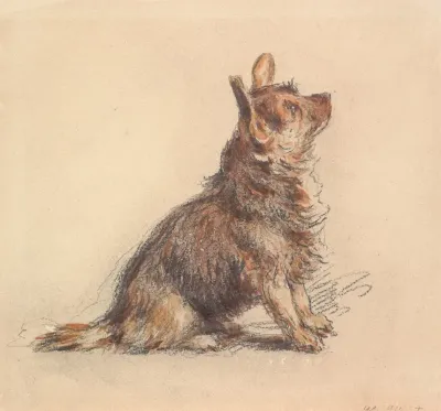A Terrier Sitting Looking Up To Right