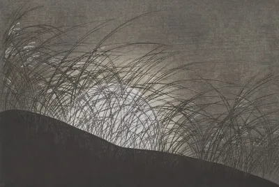 A Thousand Grasses Pl 12