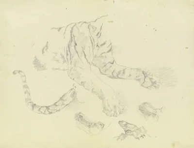 A Tiger 2