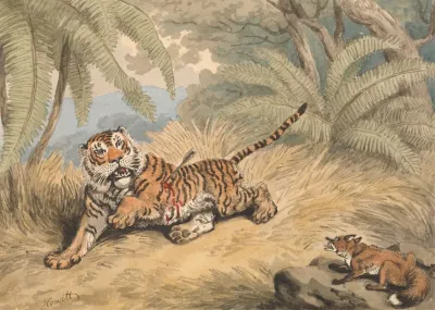 A Tiger Pierced With An Arrow