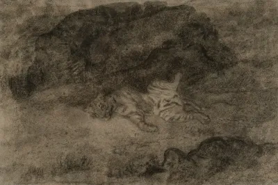 A Tiger Sprawling Among The Rocks