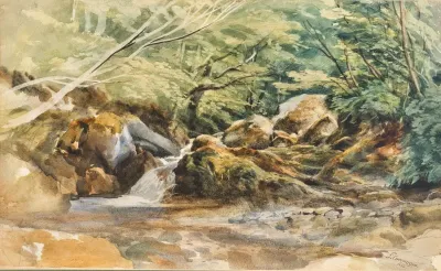 A Torrent And Shrubs Study