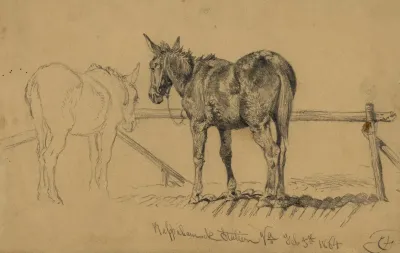 A Tough Customer Army Mule