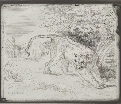 A Trapped Tiger