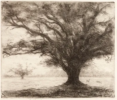 A Tree In The Hampton Court Park Near London