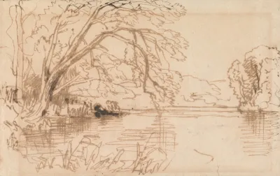 A Tree Overhanging A River