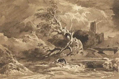 A Tree Struck By Lightning 2