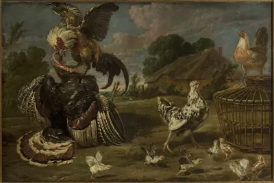 A Turkey And A Rooster
