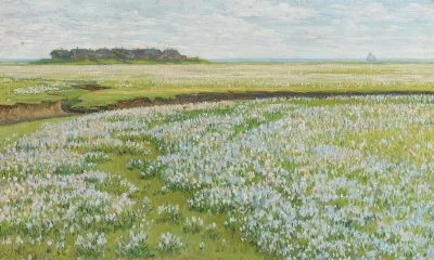 A Vast Summer Landscape
