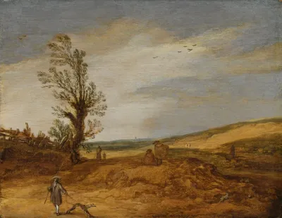 A View In The Dunes