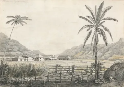 A View Of Hall Head Sugar Plantation Jamaica