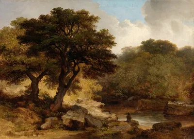 A View Of The Glen Of The Dargle