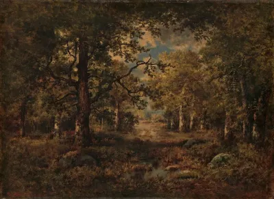 A Vista Through Trees Fontainebleau