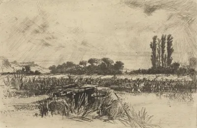 A Water Meadow