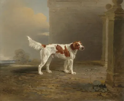 A White Setter In A Landscape By A Gateway