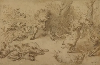 A Wild Boar At Bay
