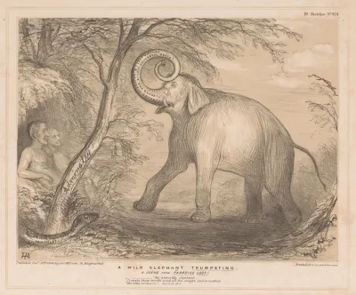 A Wild Elephant Trumpeting A Scene From Paradise Lost