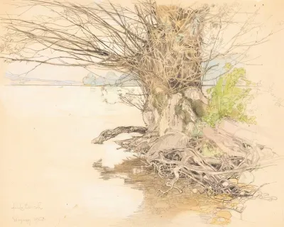 A Willow Tree At The Lake Shore