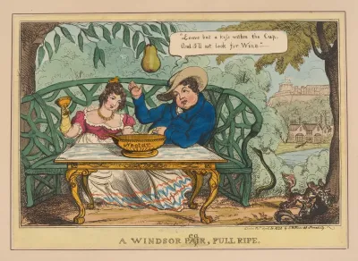 A Windsor Pear Full Ripe
