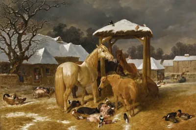 A Winter Feed