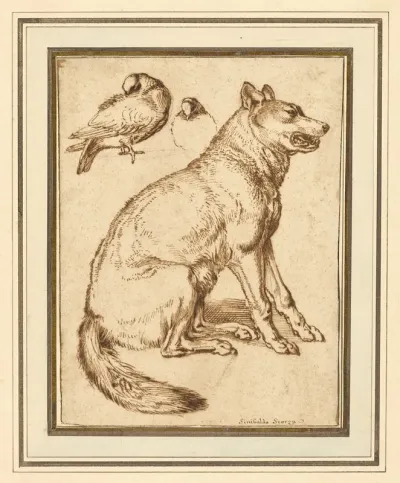 A Wolf And Two Doves