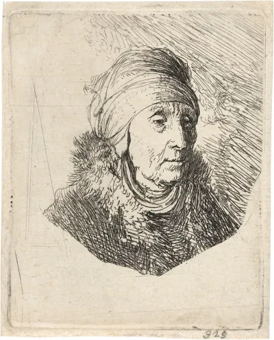 A Woman With A High Headdress