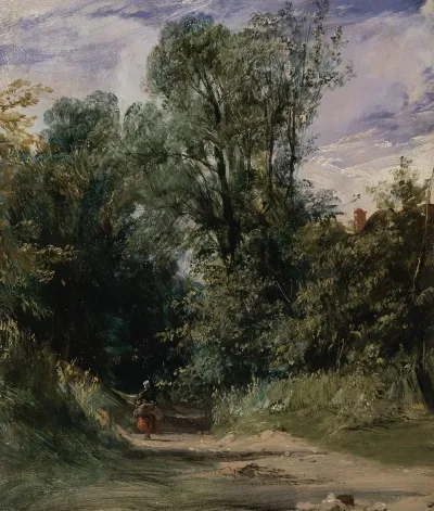 A Wooded Lane