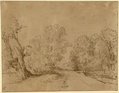 A Wooded Road
