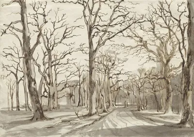 A Woodland Path In Rosenthal In Winter