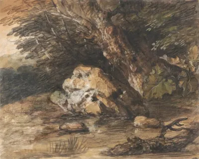 A Woodland Pool With Rocks And Plants