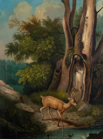 A Woodland Scene With Deer