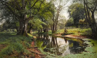 A Woodland Stream On A Summer Day