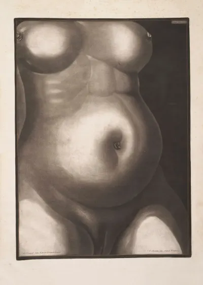 Abdomen Of The Woman Before She Was Opened