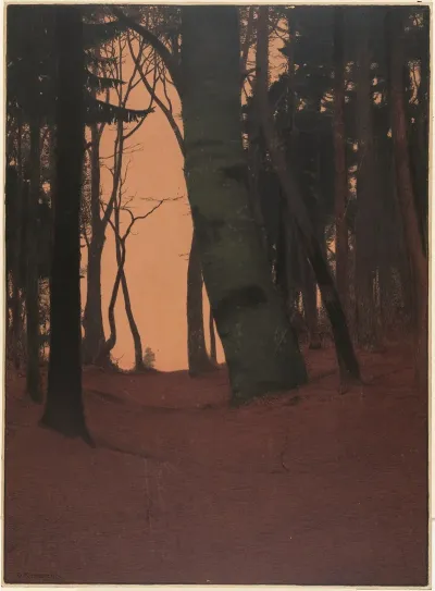 Abend Im Wald
