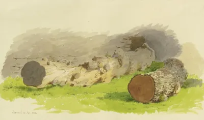 Abgesagte Baumstamme Vor Einer Mauer In Oberwesel September 13 1858