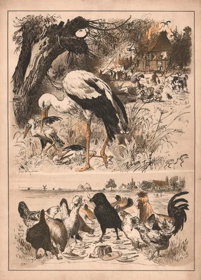 About The Stork The Raven And The Chickens