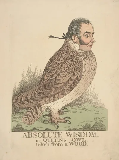 Absolute Wisdom Or Queens Owl Taken From A Wood